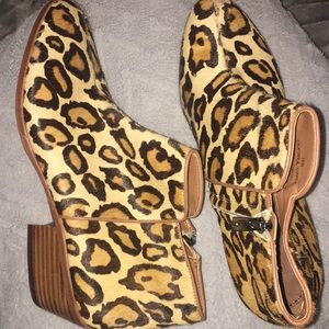 Sam Edelman “petty” booties - cheetah print